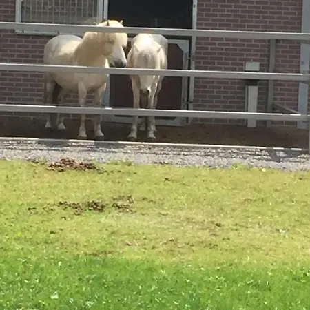 Διαμέρισμα Eifelliebe Rott